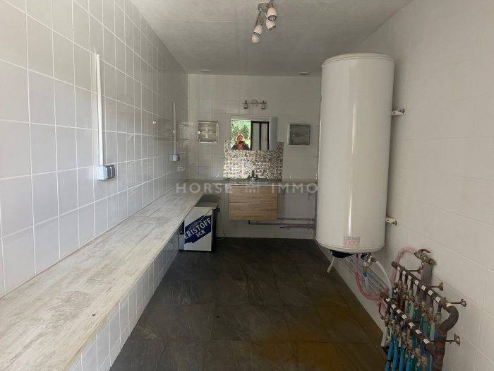 Hippisch vastgoed Koop Orne