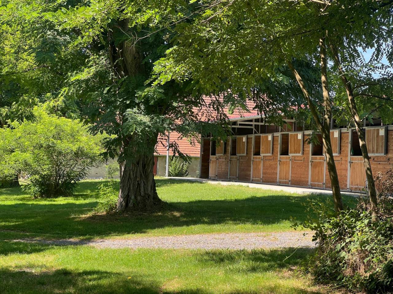 Hippisch vastgoed Koop Allier