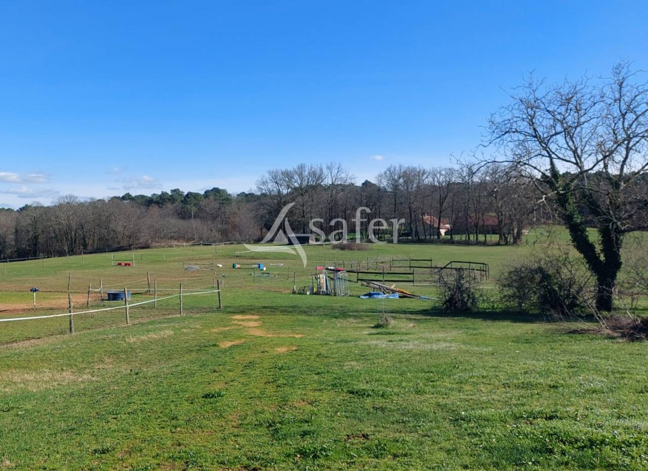 Hippisch vastgoed Koop Dordogne