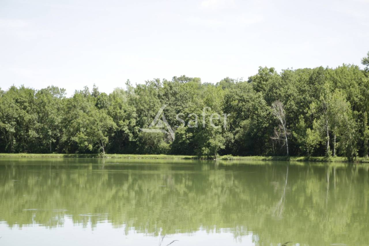 Ander plattelands vastgoed Koop Haute-Garonne