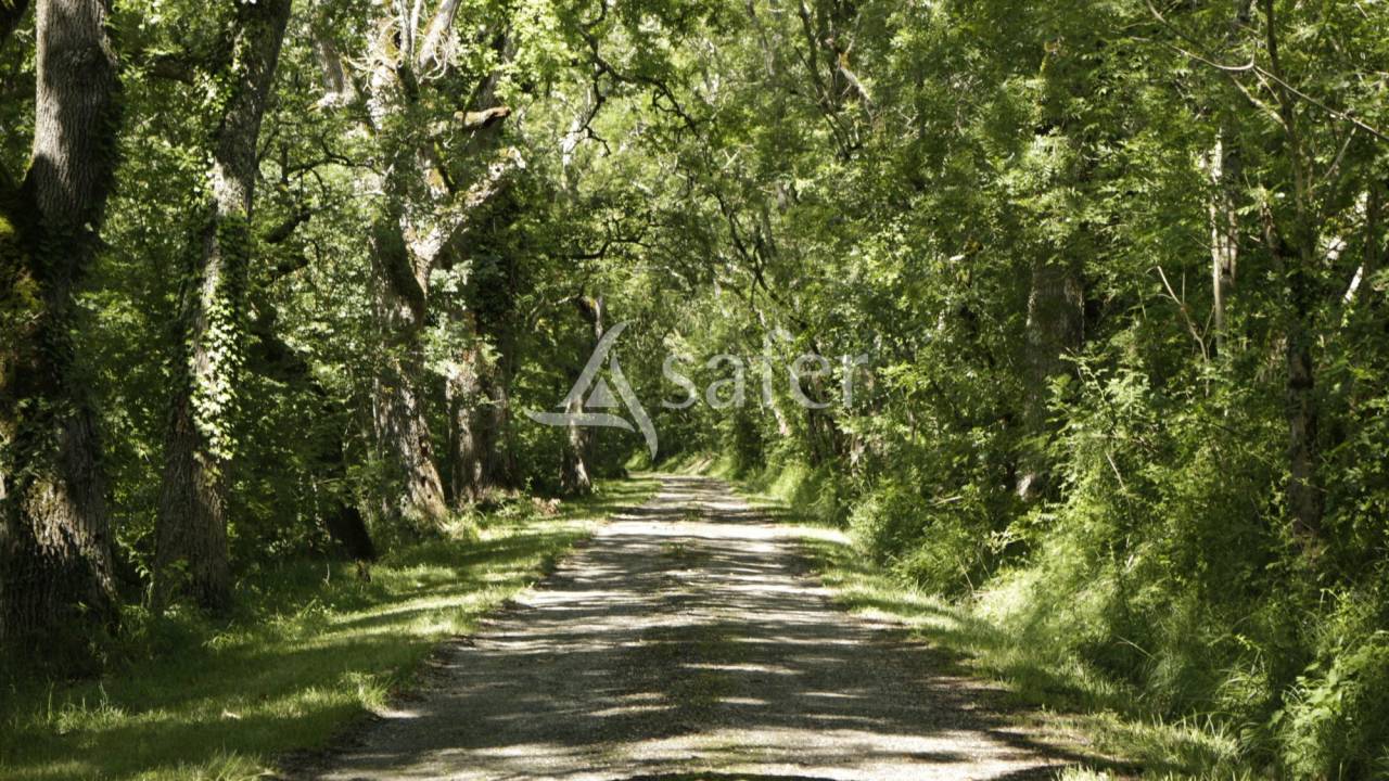 Ander plattelands vastgoed Koop Haute-Garonne