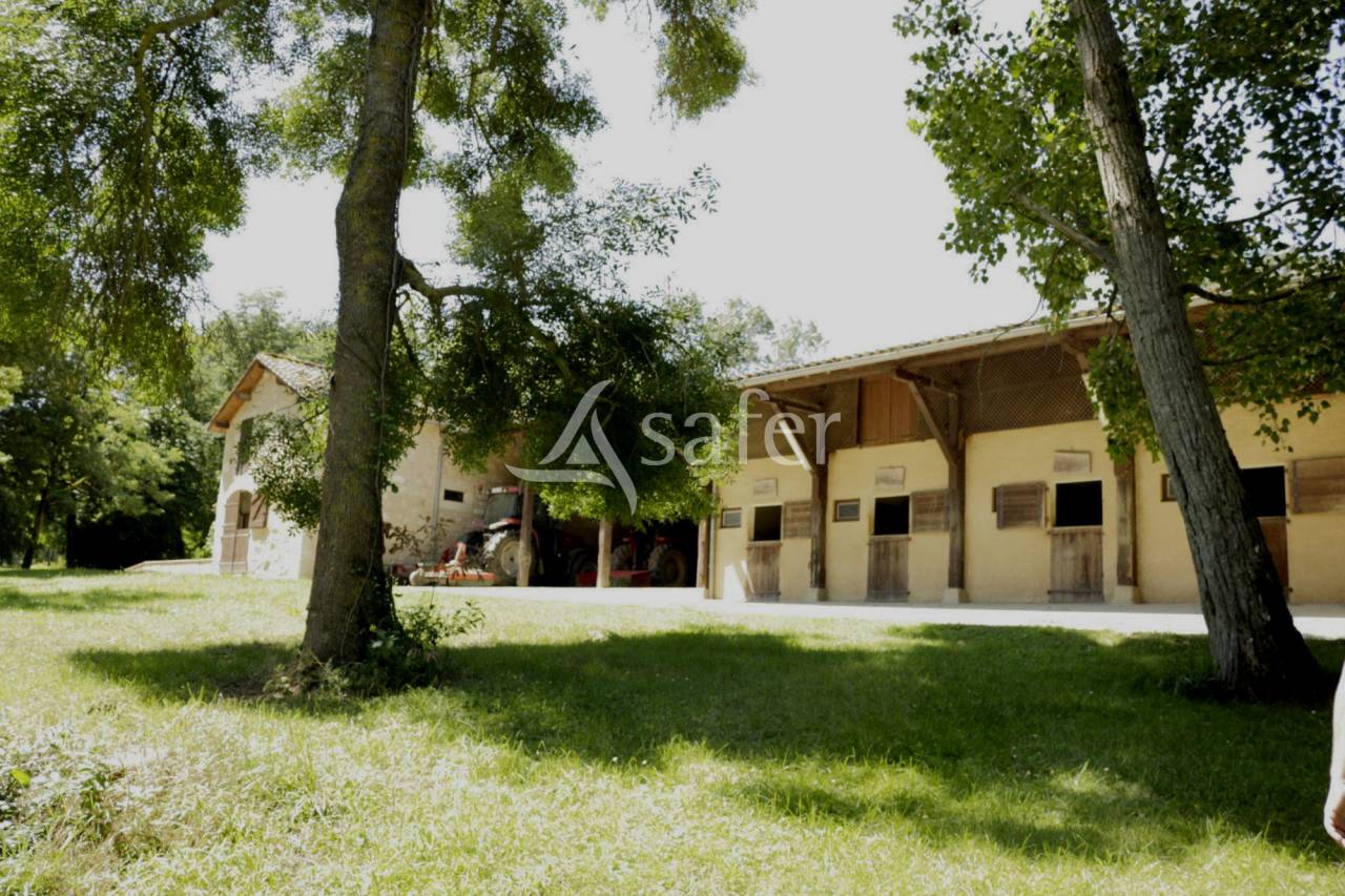 Ander plattelands vastgoed Koop Haute-Garonne