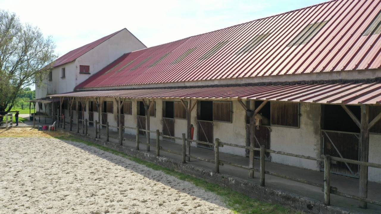 Eigenaren stal Koop Seine-et-Marne