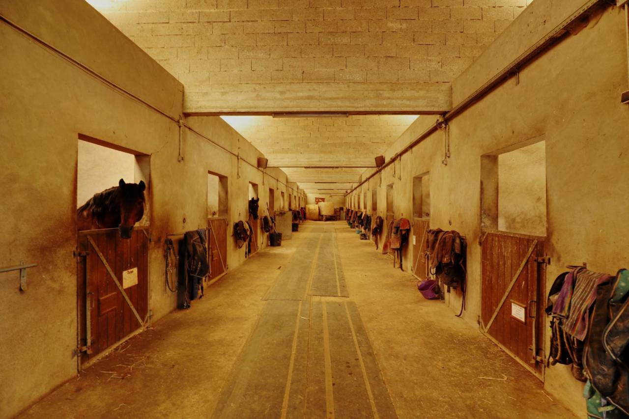 Eigenaren stal Koop Seine-et-Marne