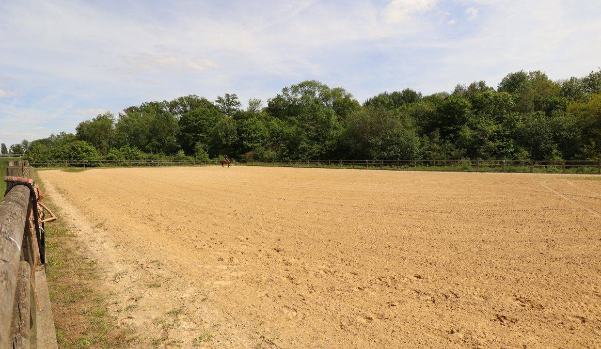 Eigenaren stal Koop Seine-et-Marne