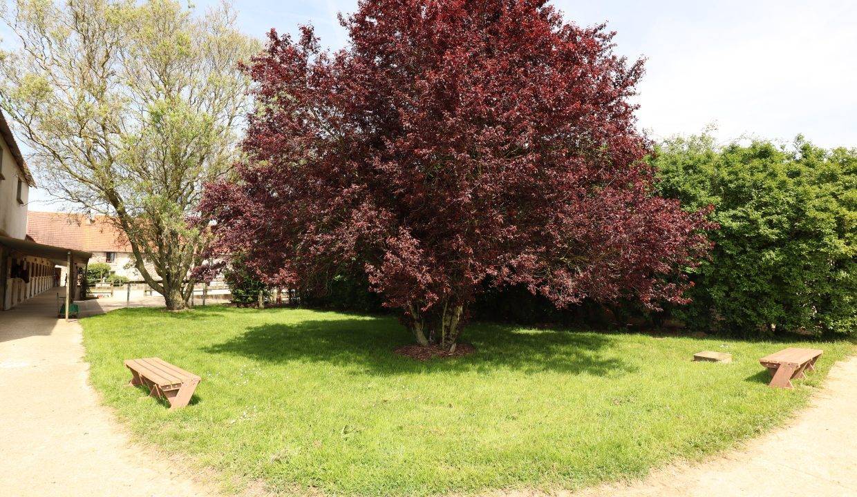 Eigenaren stal Koop Seine-et-Marne