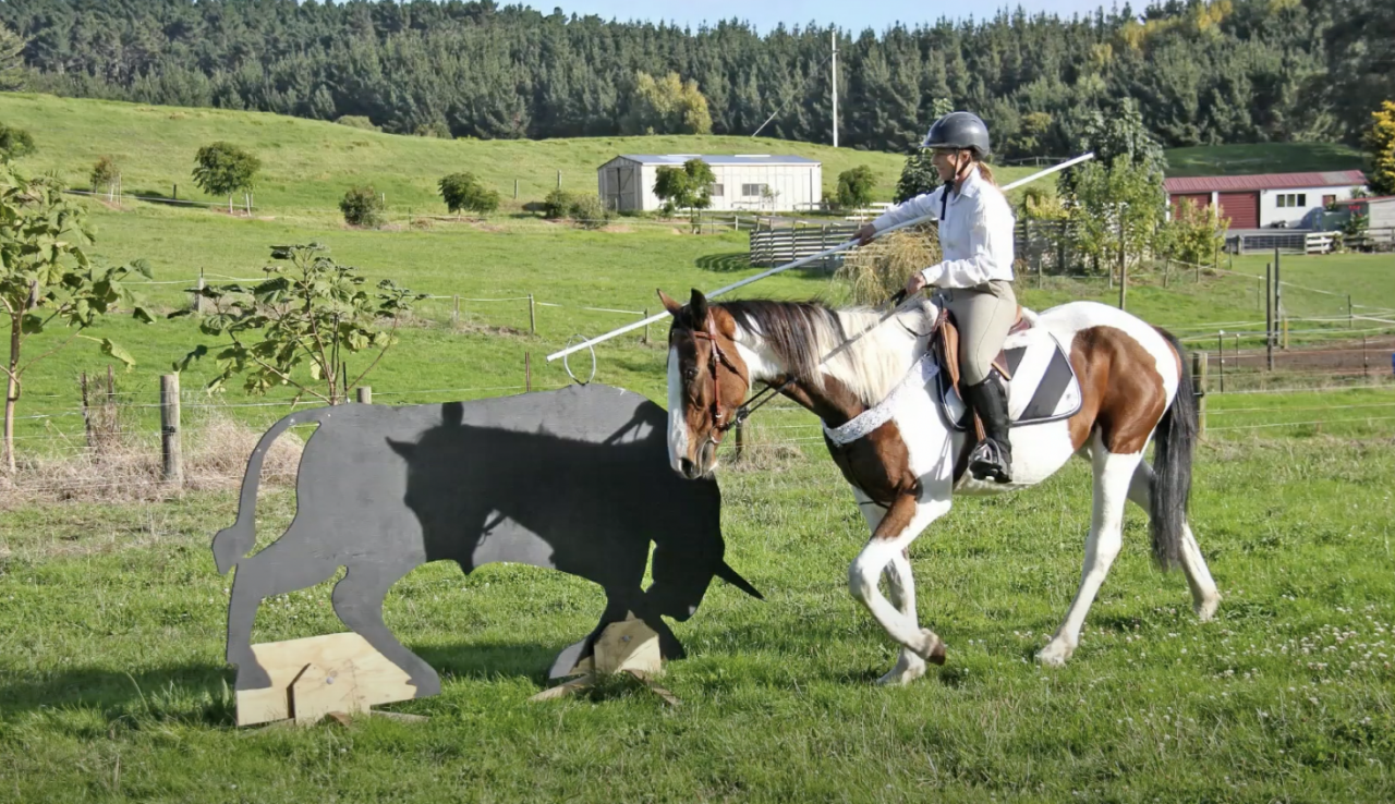 Ruin Bekend ras Te koop 2021 Donker bruin / bai