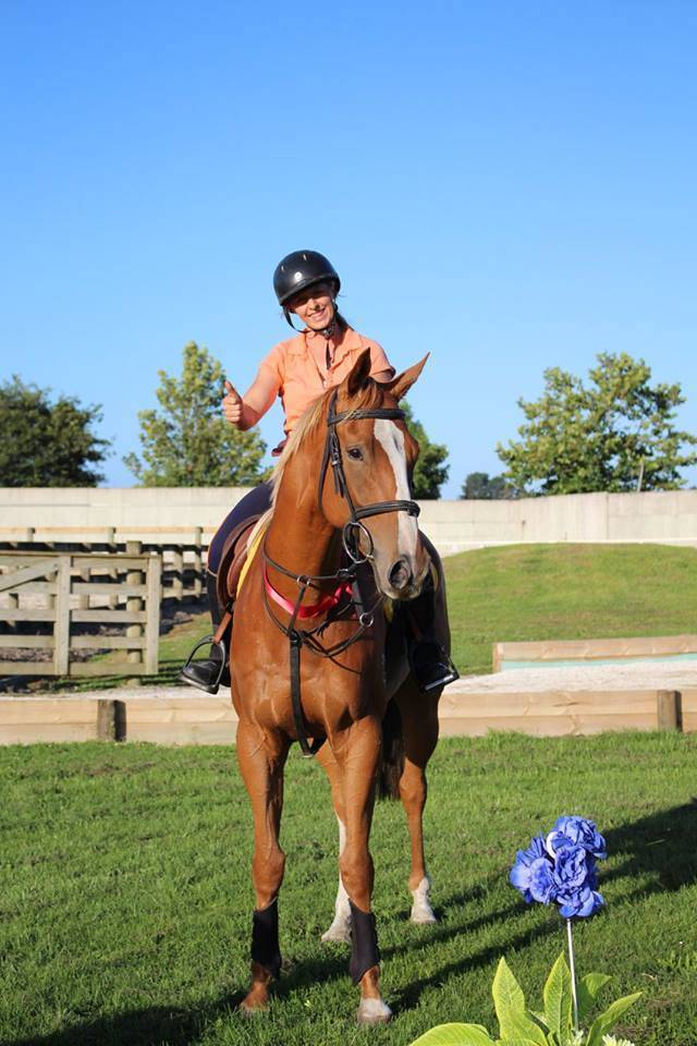 Ruin Bekend ras Te koop 2021 Donker bruin / bai