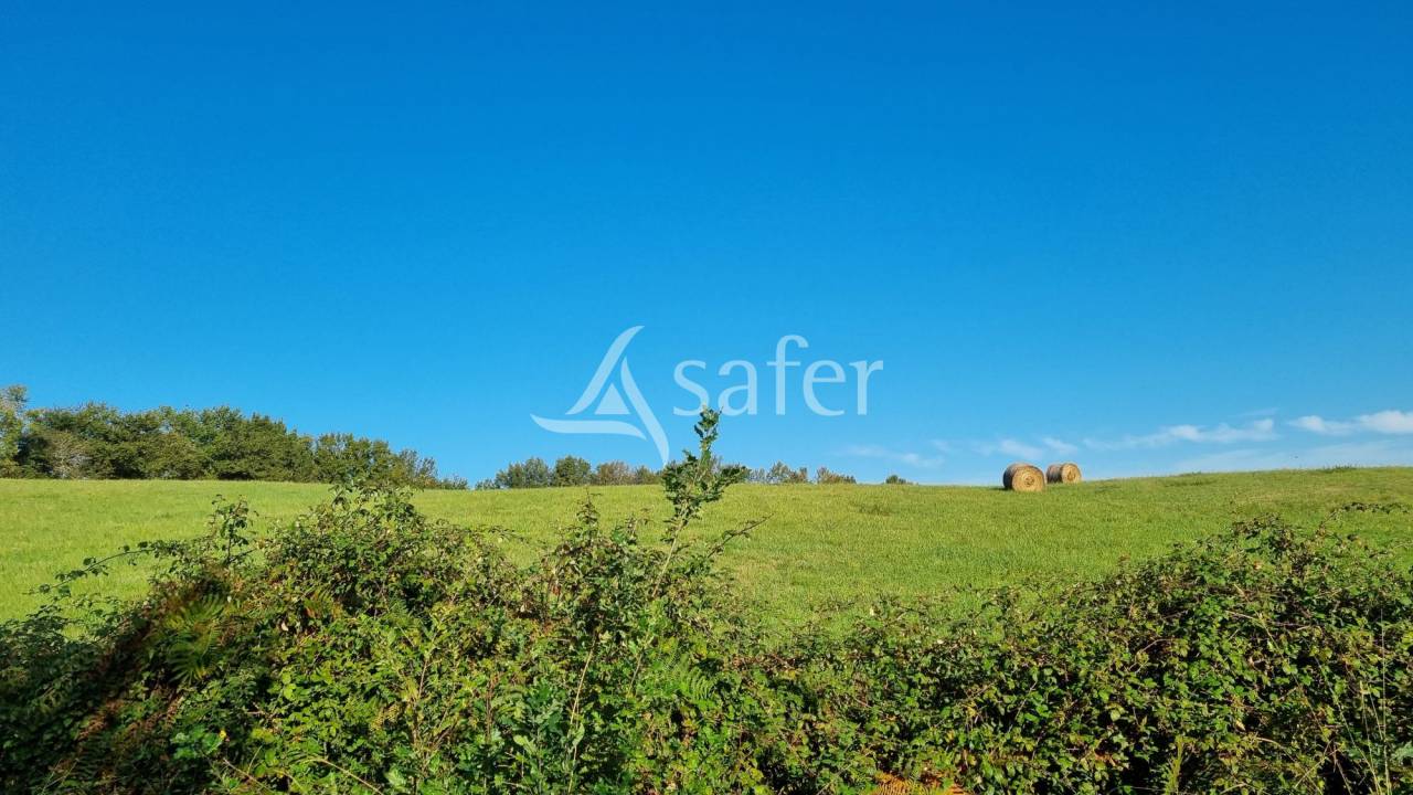 Landbouw bedrijf Koop Gers