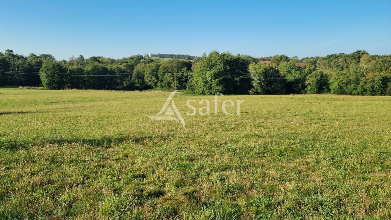 Landbouw bedrijf Koop Gers