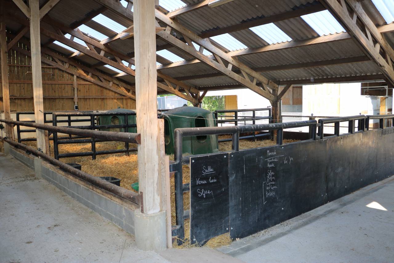 Stoeterij Koop Calvados