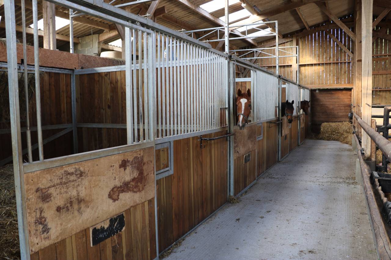 Stoeterij Koop Calvados