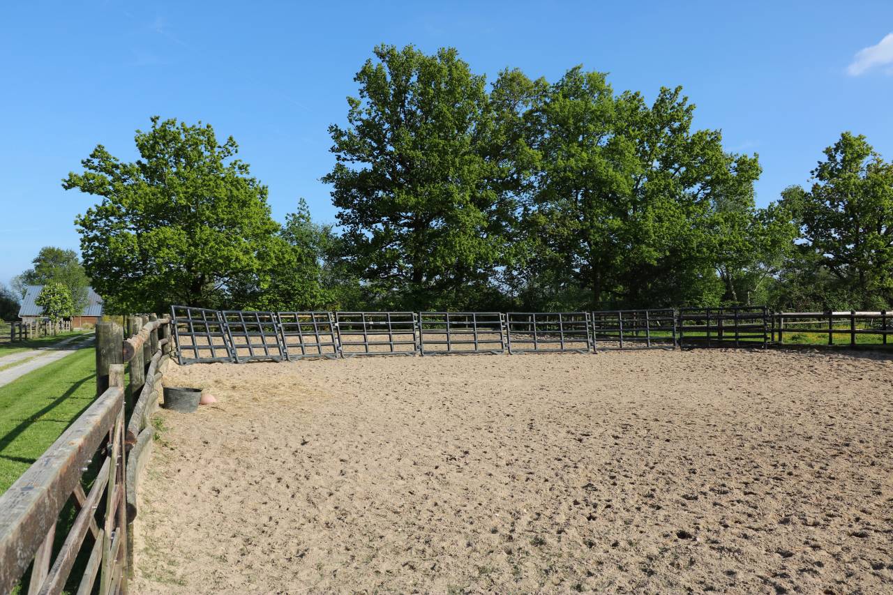 Stoeterij Koop Calvados