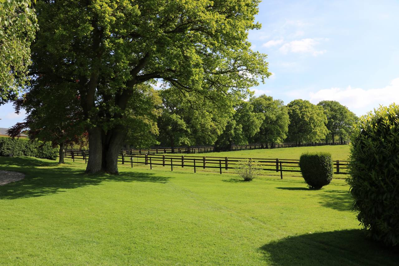 Stoeterij Koop Calvados