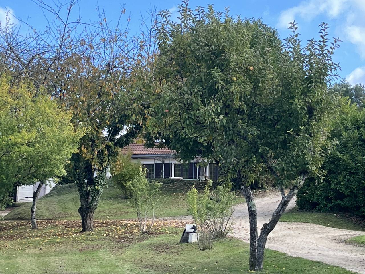 Hippisch vastgoed Koop Yonne
