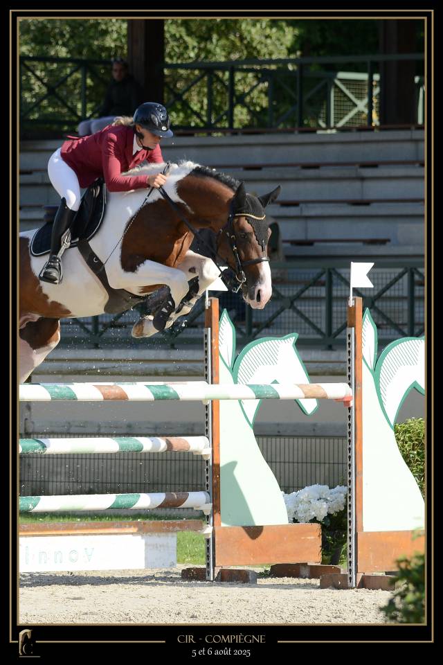 JERICHO DU LAGON - Rijpaard 2019 ,  Envol van de Rib