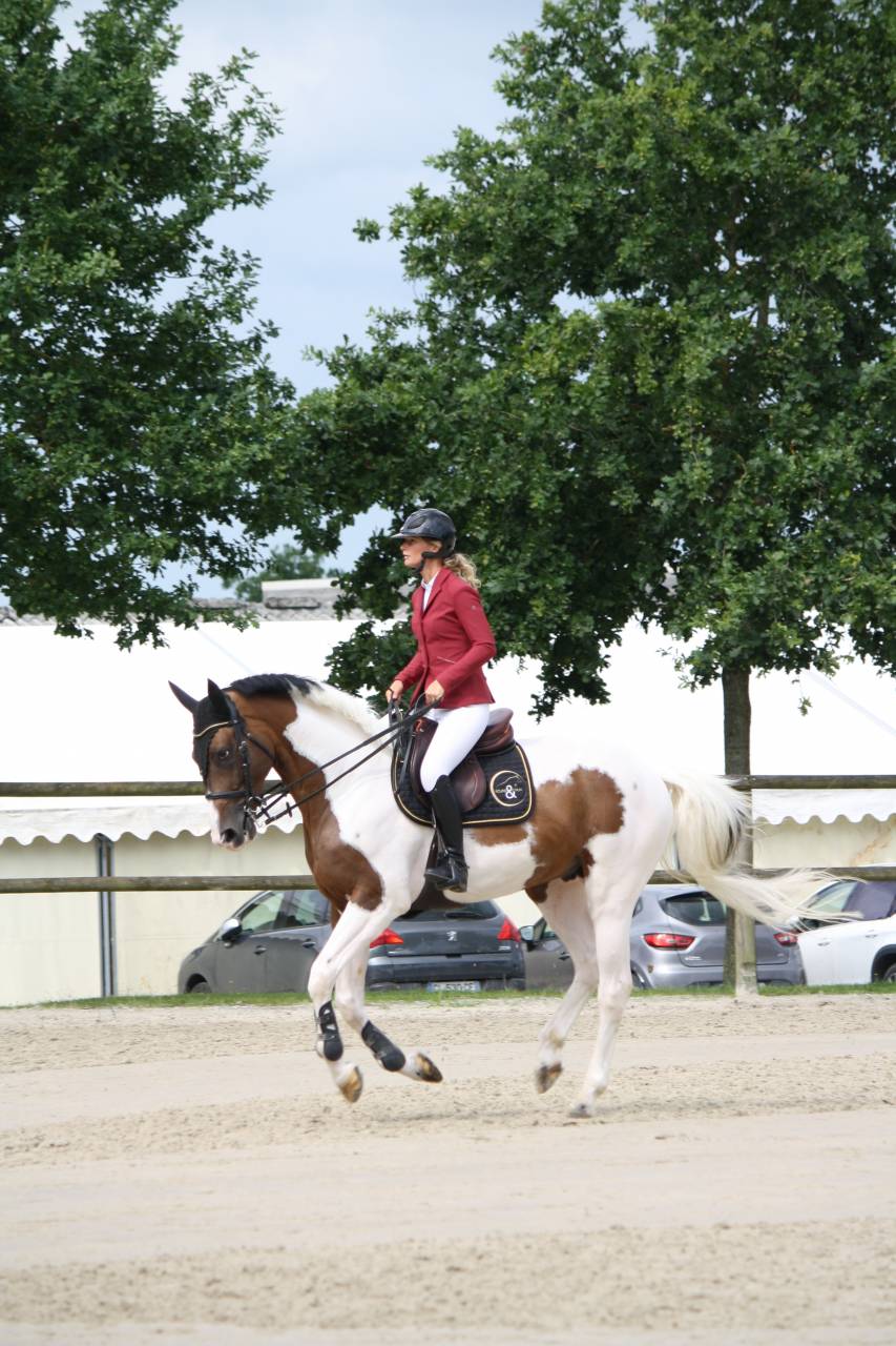 JERICHO DU LAGON - Rijpaard 2019 ,  Envol van de Rib