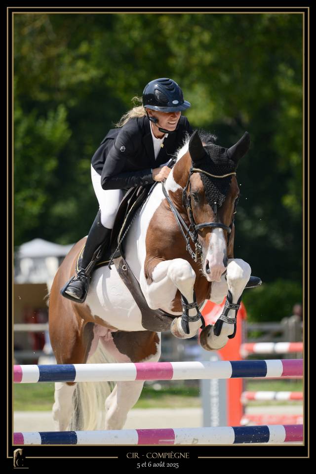 JERICHO DU LAGON - Rijpaard 2019 ,  Envol van de Rib