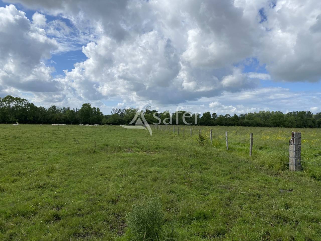 Hippisch vastgoed Koop Calvados