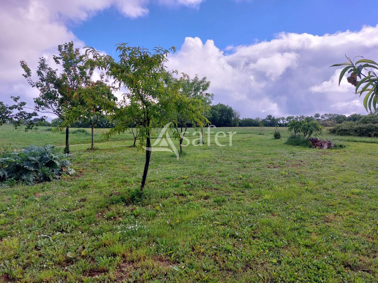 Landbouw bedrijf Koop Dordogne