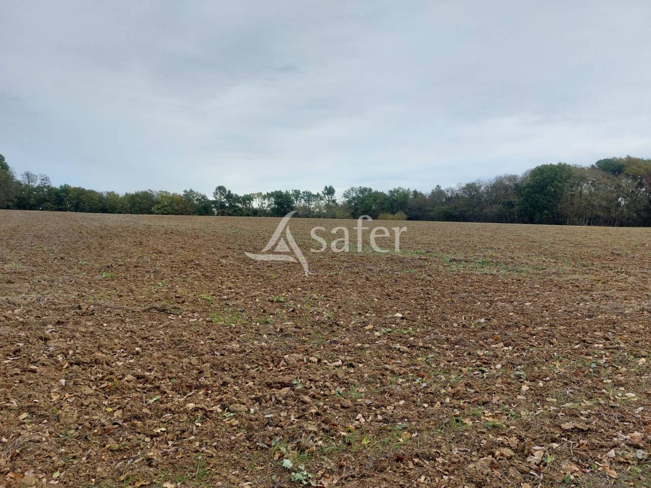 Landbouw bedrijf Koop Dordogne