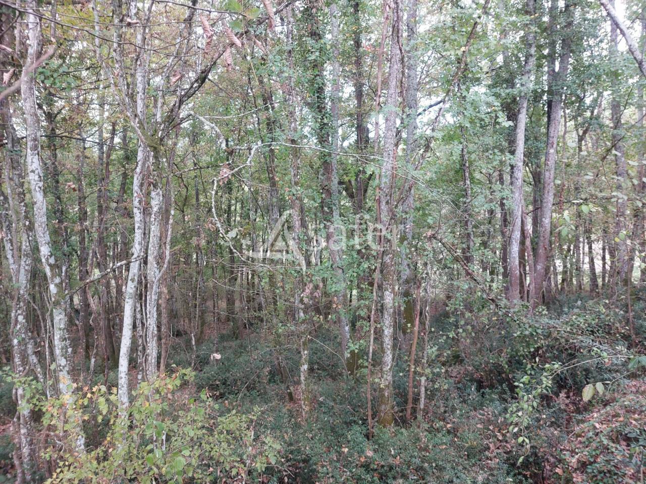 Landbouw bedrijf Koop Dordogne