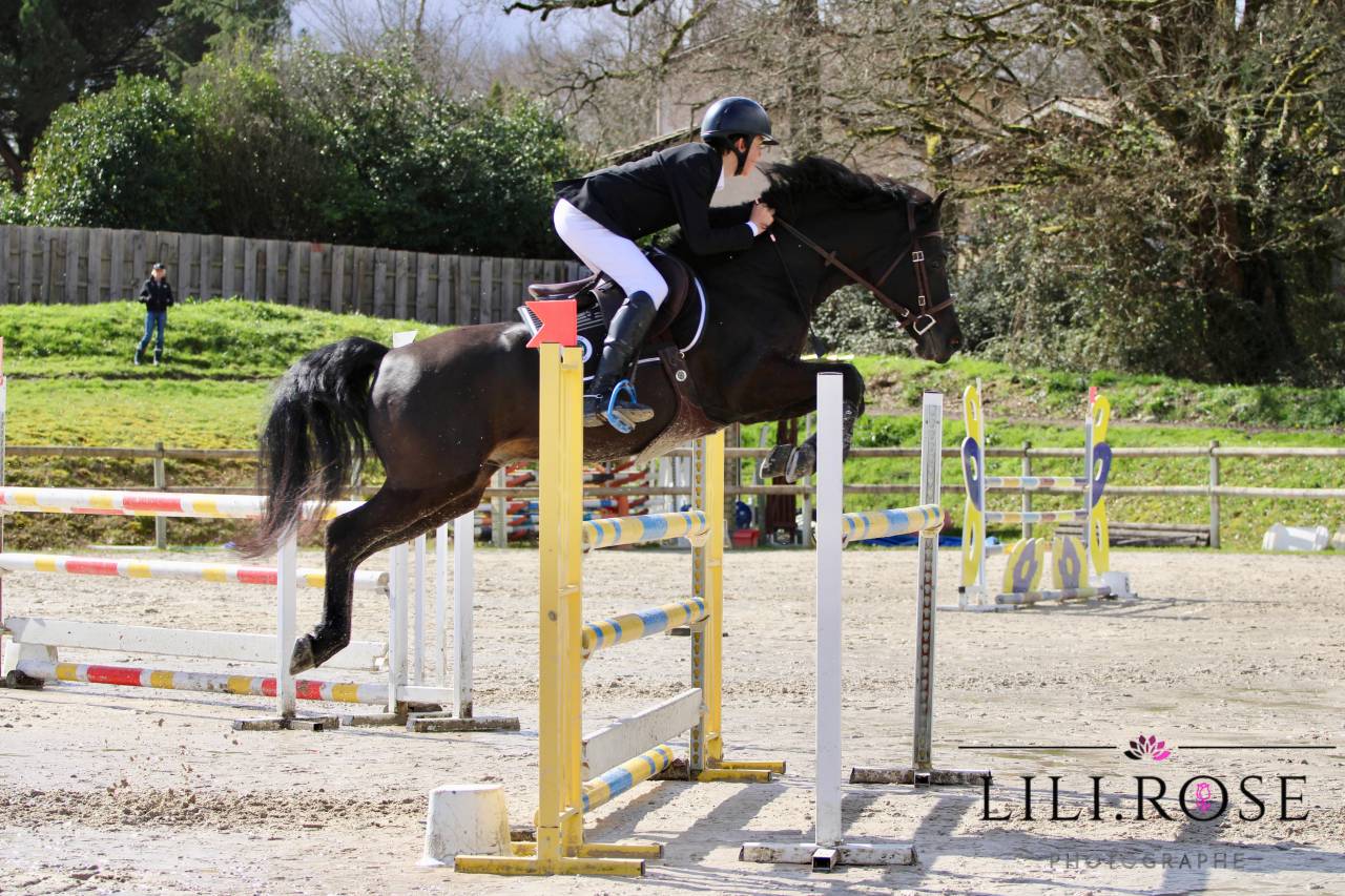 Valmont de Fougnard - Franse rijpony PFS 2009 ,  KANTJE'S RONALDO(NLD) NF 1987