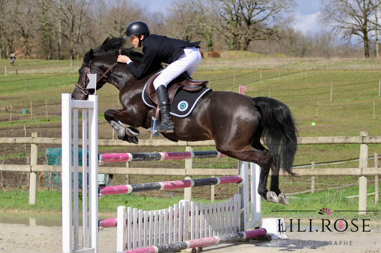 Valmont de Fougnard - Franse rijpony PFS 2009 ,  KANTJE'S RONALDO(NLD) NF 1987