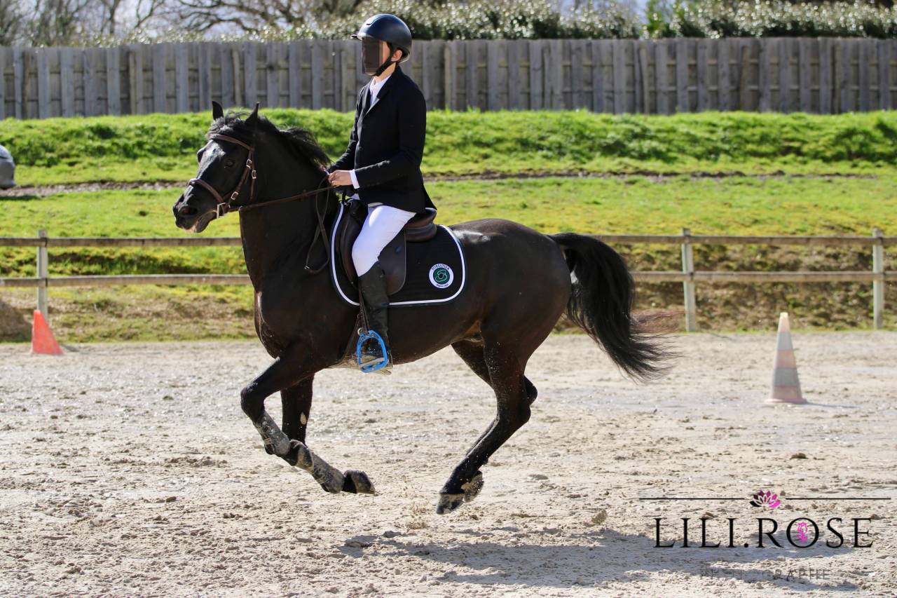 Valmont de Fougnard - Franse rijpony PFS 2009 ,  KANTJE'S RONALDO(NLD) NF 1987