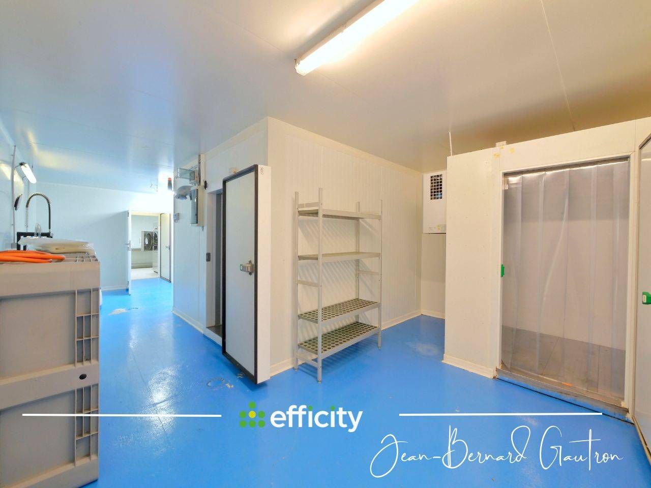 Stoeterij Koop Côte d'Armor