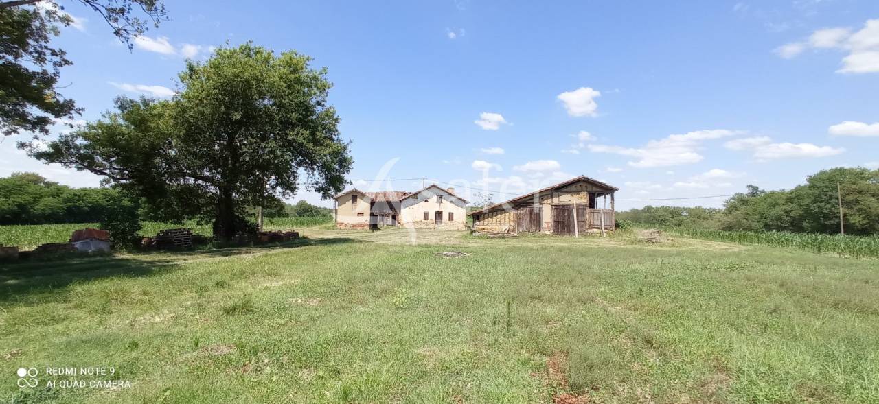 Landbouw bedrijf Koop Landes