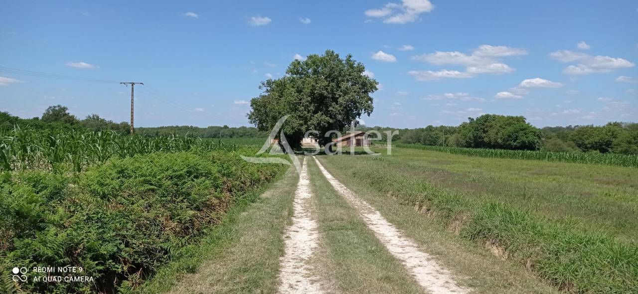 Landbouw bedrijf Koop Landes