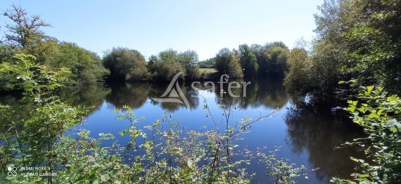 Landbouw bedrijf Koop Landes