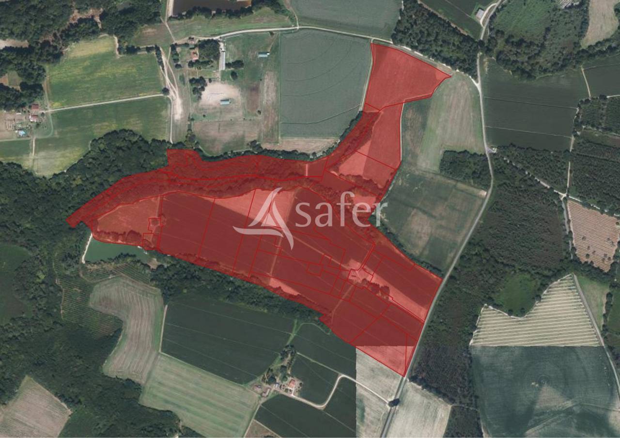 Landbouw bedrijf Koop Landes