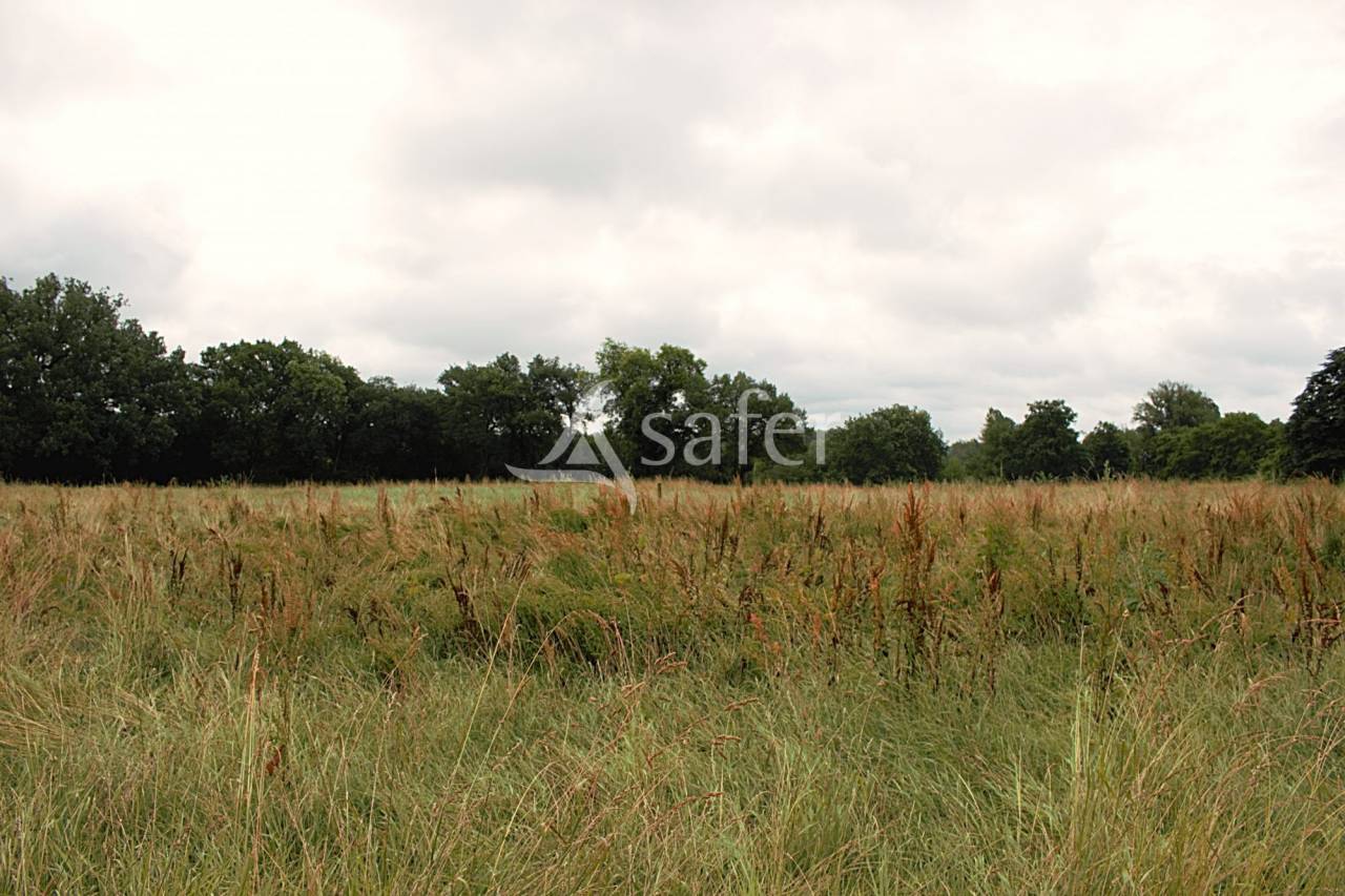 Landbouw bedrijf Koop Gers
