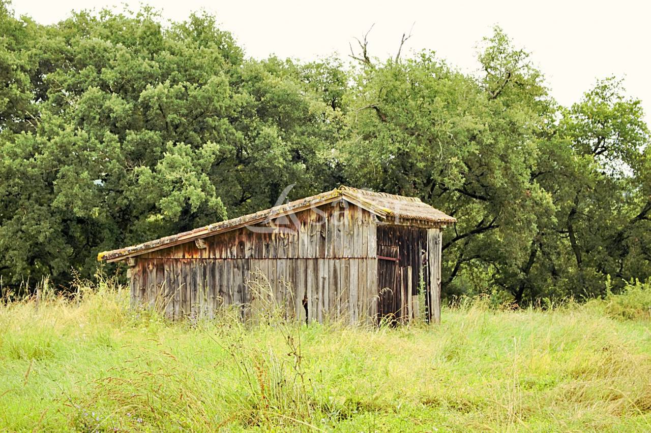 Landbouw bedrijf Koop Gers