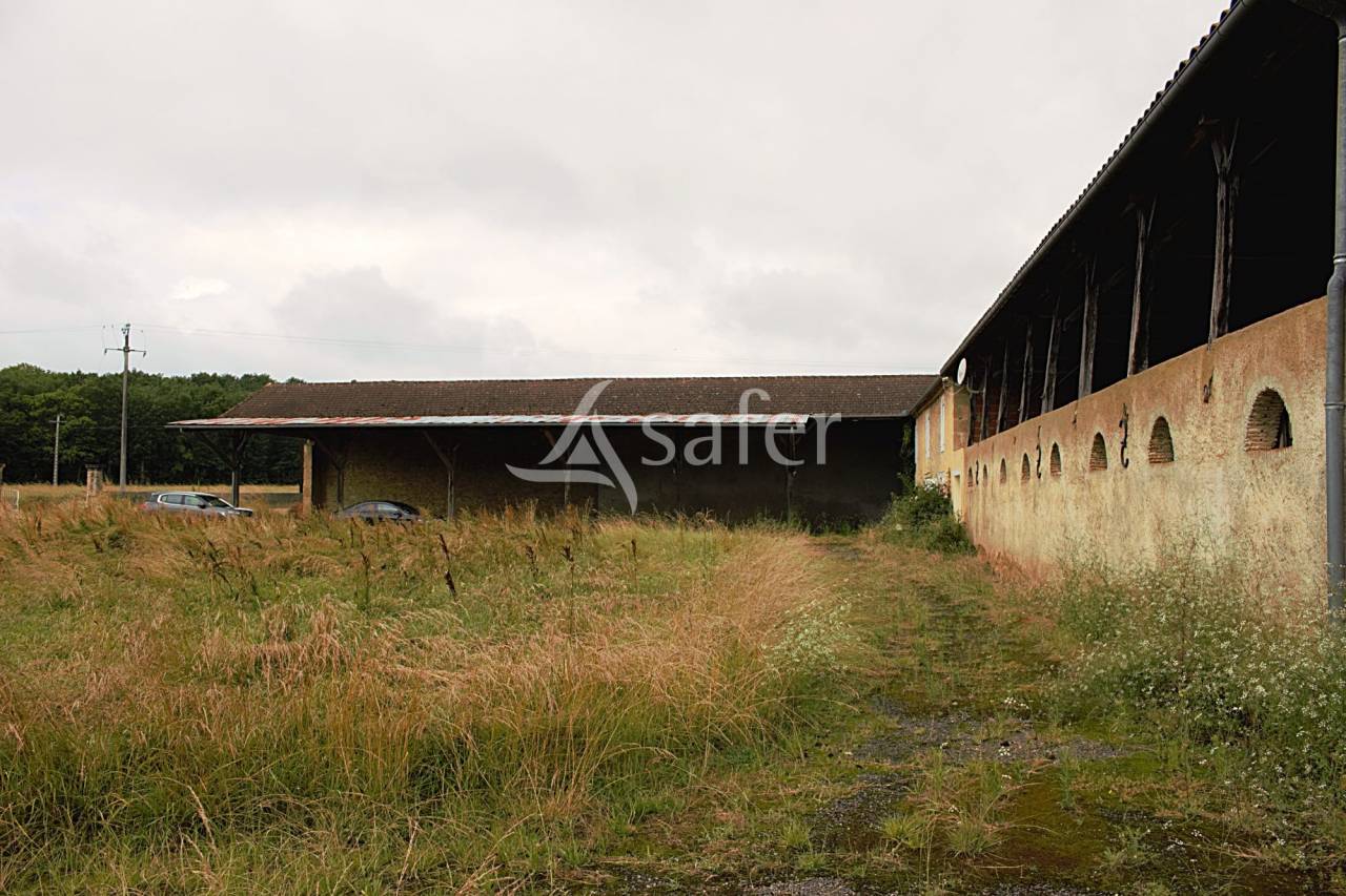 Landbouw bedrijf Koop Gers