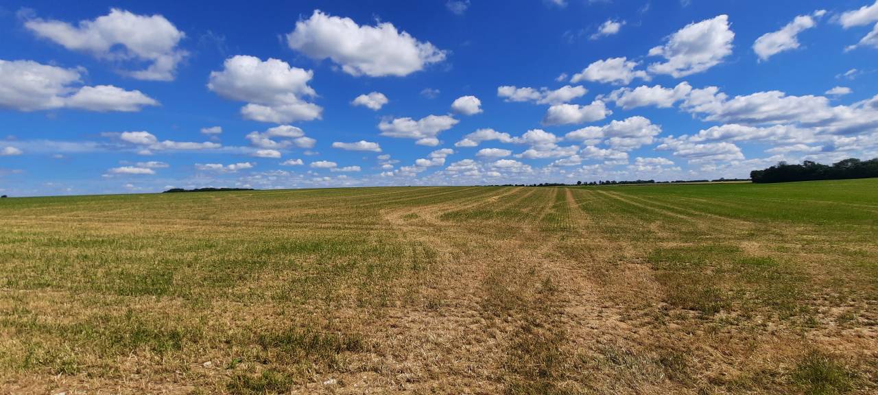 Hippisch vastgoed Koop Charente-Maritime