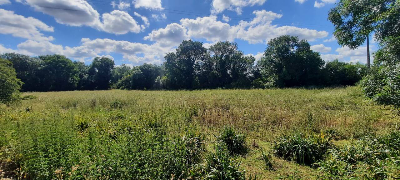 Hippisch vastgoed Koop Charente-Maritime