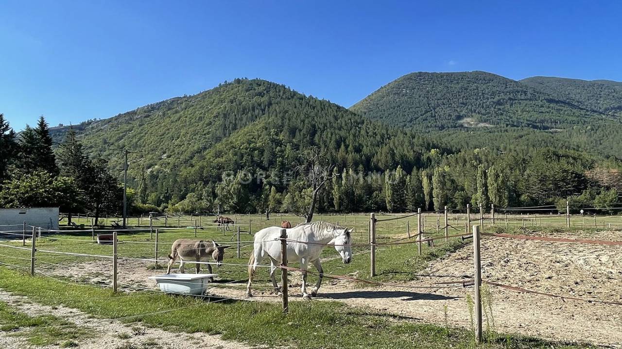Hippisch vastgoed Koop Vaucluse