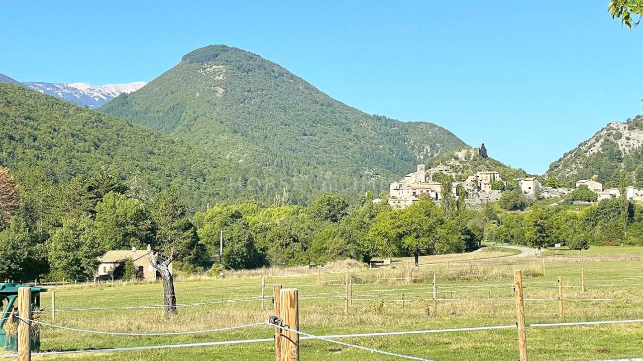 Hippisch vastgoed Koop Vaucluse