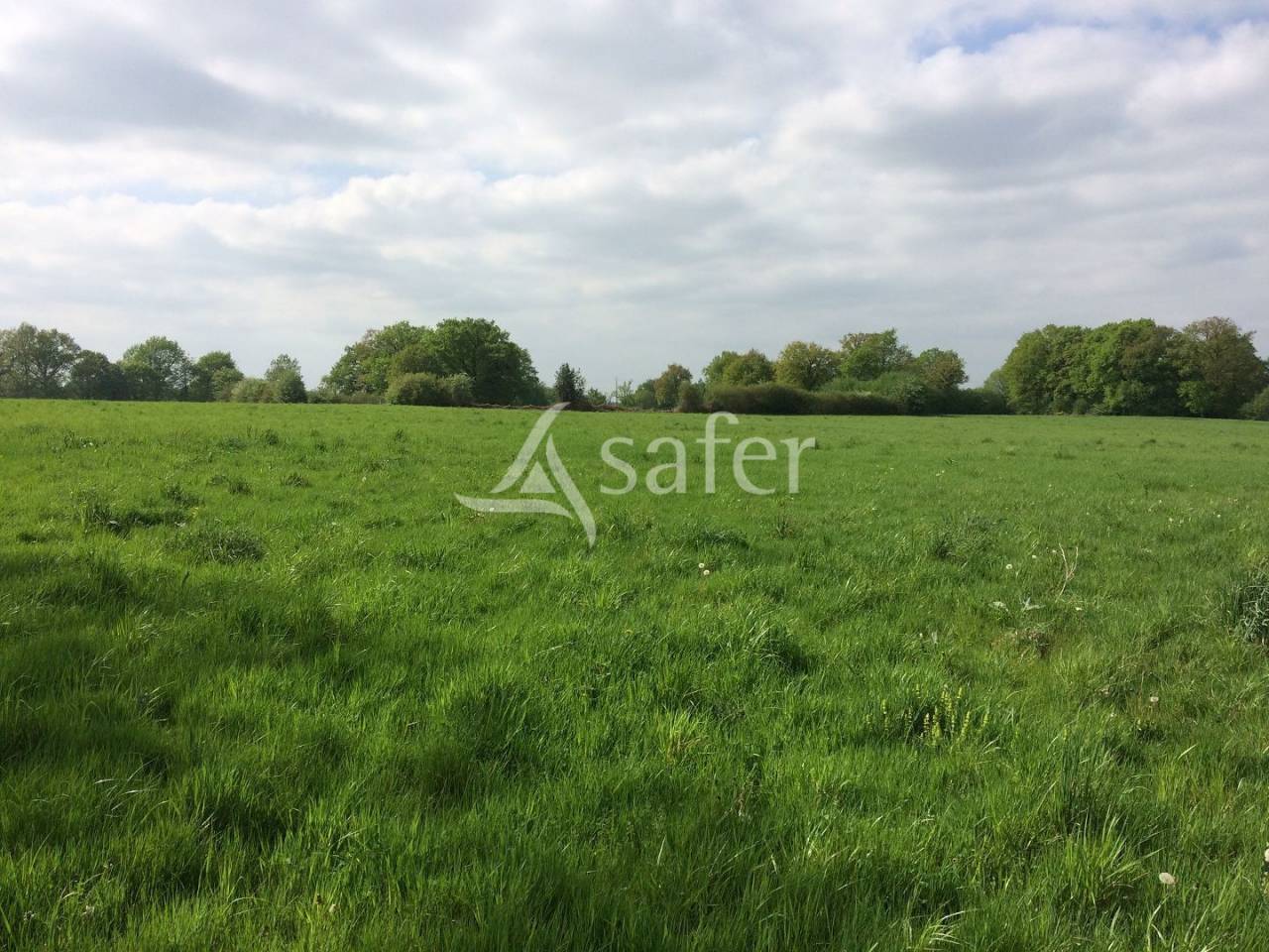 Landbouw bedrijf Koop Haute-Vienne