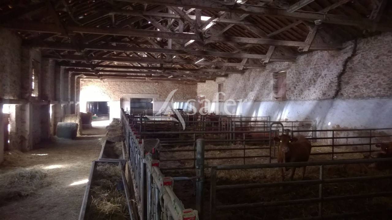 Landbouw bedrijf Koop Haute-Vienne