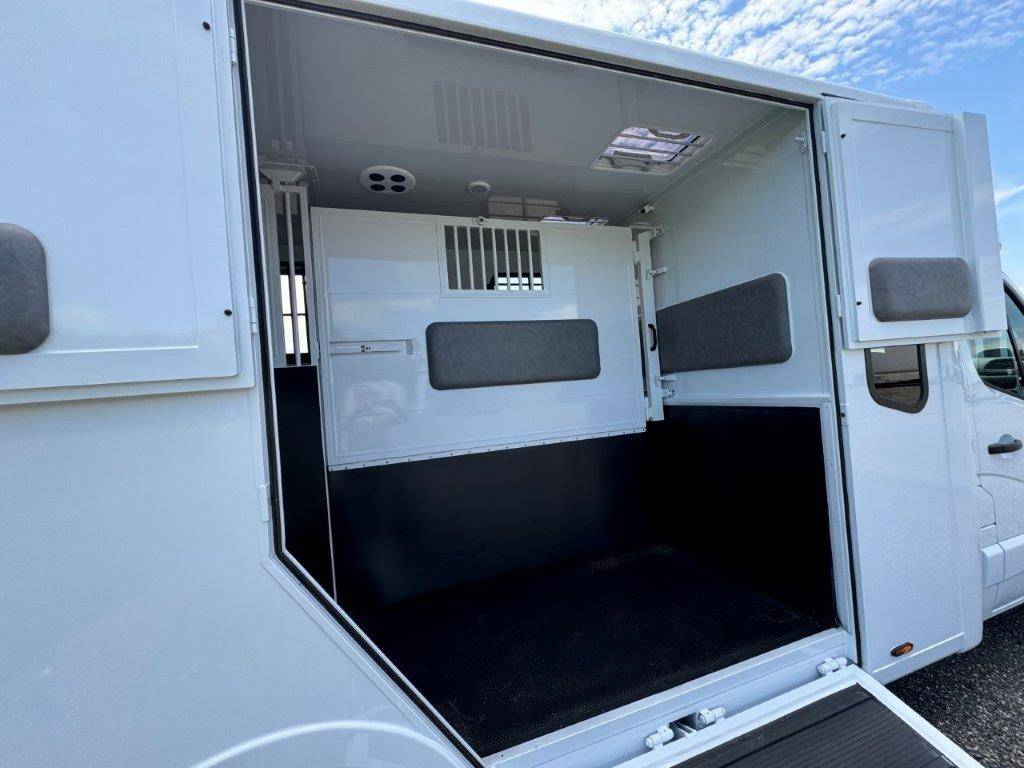 Kleine paardenvrachtwagen (B rijbewijs) TBST RENAULT MASTER 2024 Nieuw