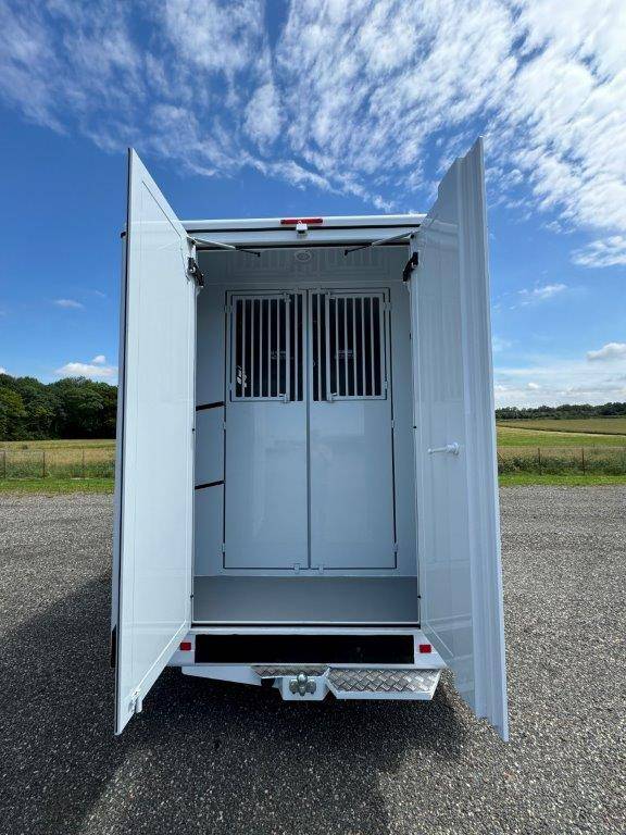 Kleine paardenvrachtwagen (B rijbewijs) TBST RENAULT MASTER 2024 Nieuw