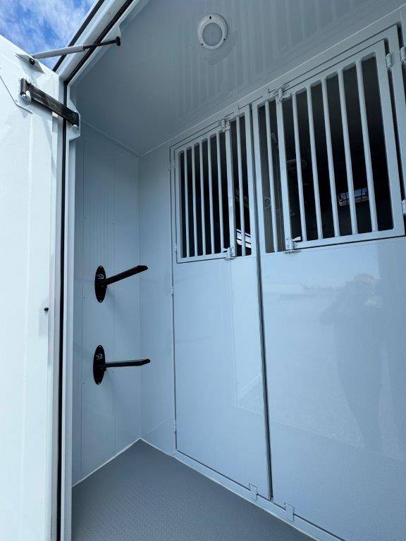 Kleine paardenvrachtwagen (B rijbewijs) TBST RENAULT MASTER 2024 Nieuw