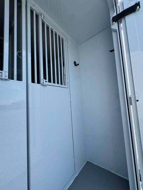 Kleine paardenvrachtwagen (B rijbewijs) TBST RENAULT MASTER 2024 Nieuw