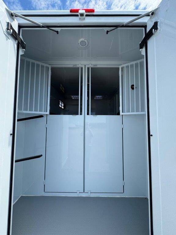 Kleine paardenvrachtwagen (B rijbewijs) TBST RENAULT MASTER 2024 Nieuw