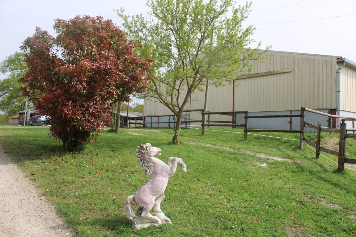 Hippisch vastgoed Koop tarn