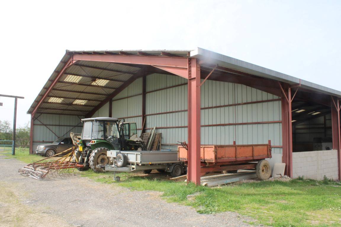 Hippisch vastgoed Koop tarn